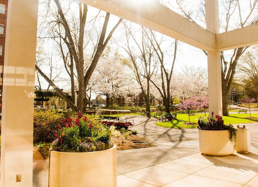 Outdoors view Photo