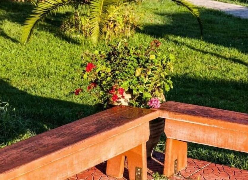 Outdoors view Photo
