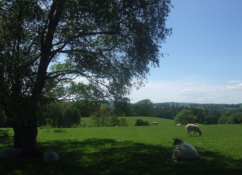 Outdoors view Photo