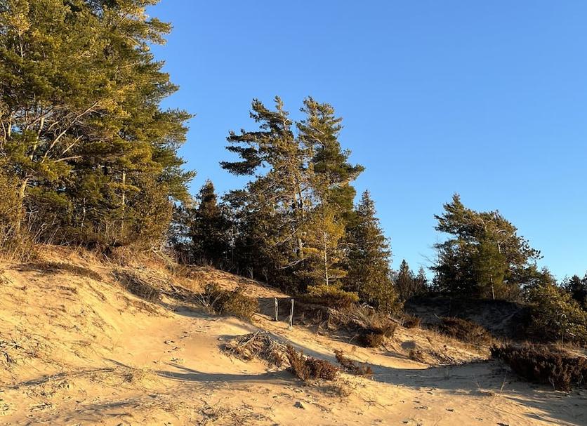 Outdoors view Photo