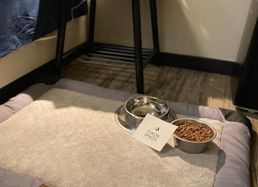 Room amenity Photo
