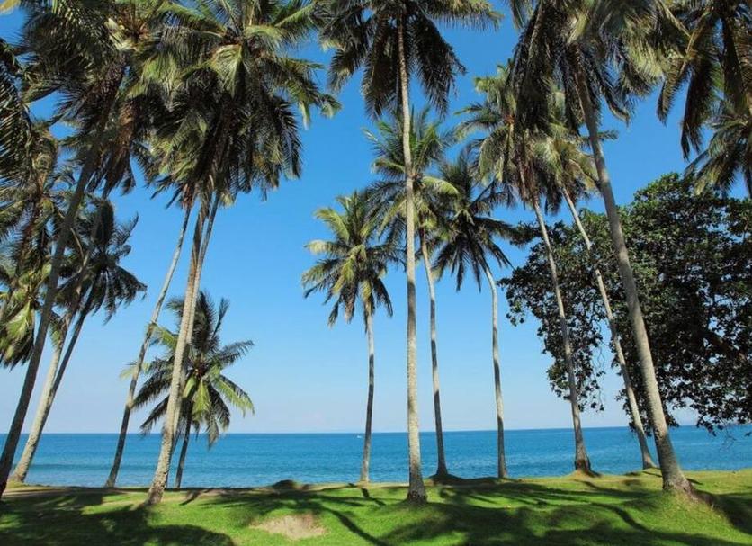Outdoors view Photo