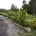 Outdoors view