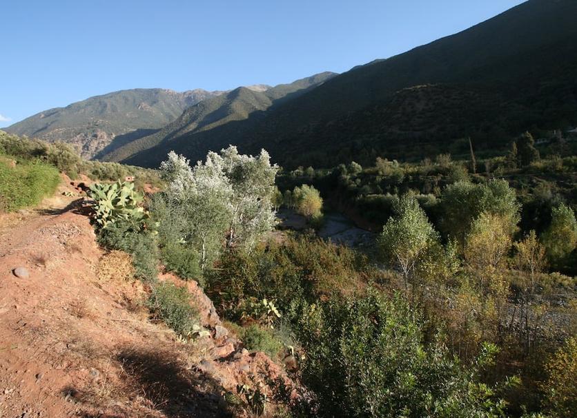 Outdoors view Photo