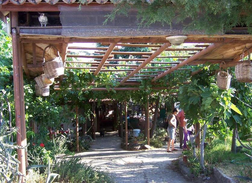 Outdoors view Photo