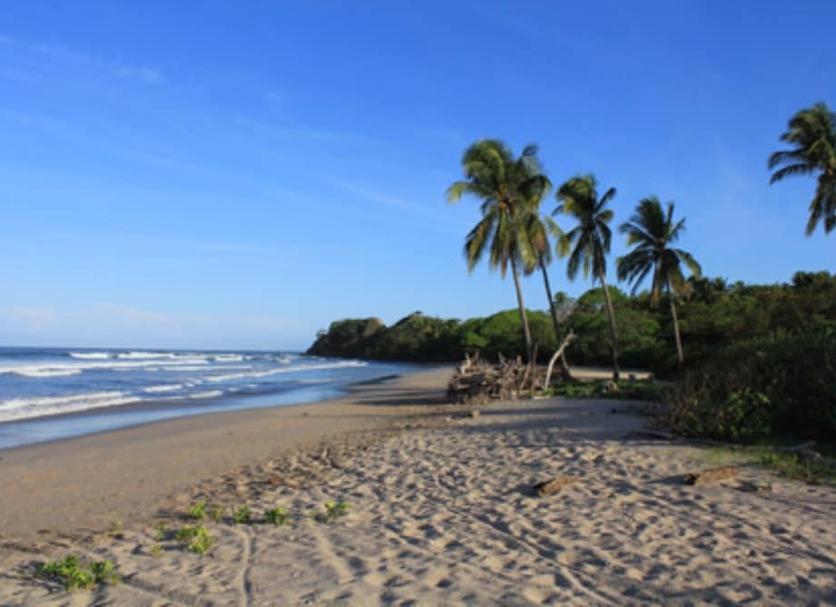 Beach Photo