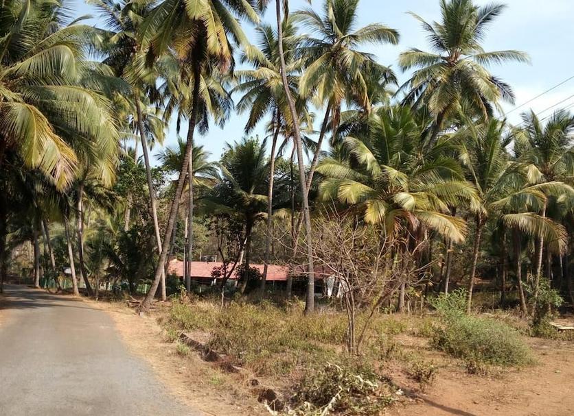 Outdoors view Photo