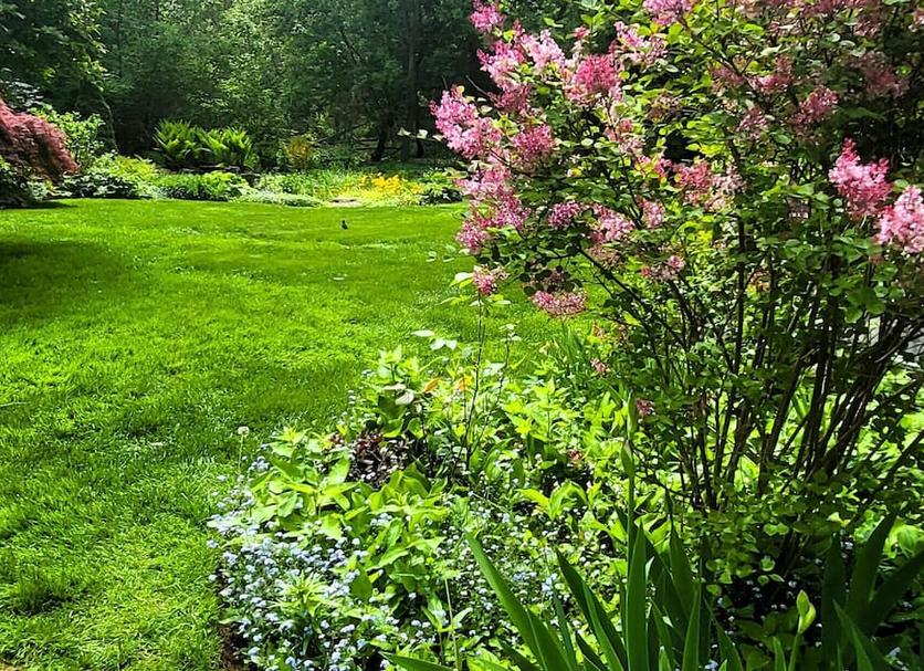 Outdoors view Photo