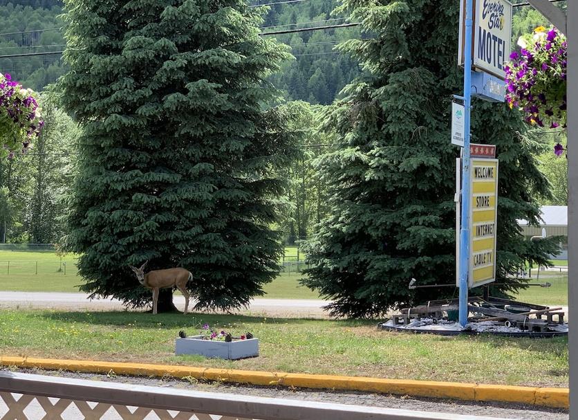 Outdoors view Photo