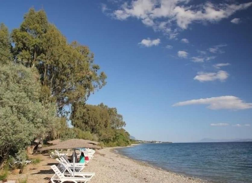 Outdoors view Photo