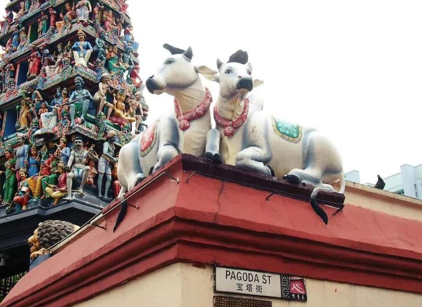 Other Photo