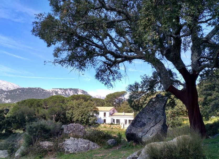 Outdoors view Photo