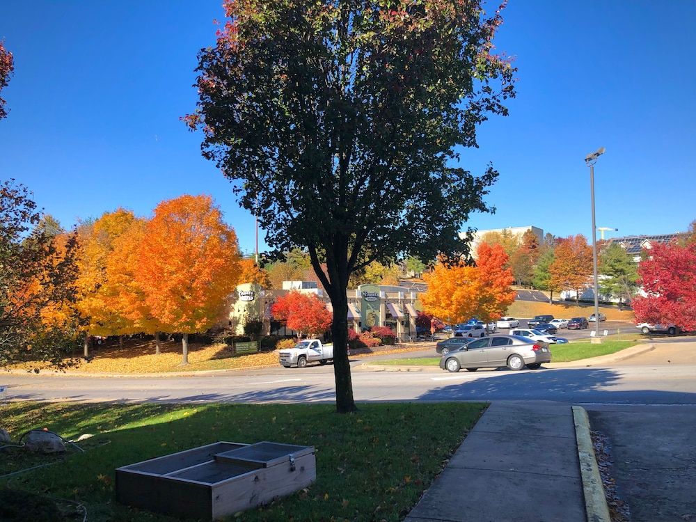 Outdoors view