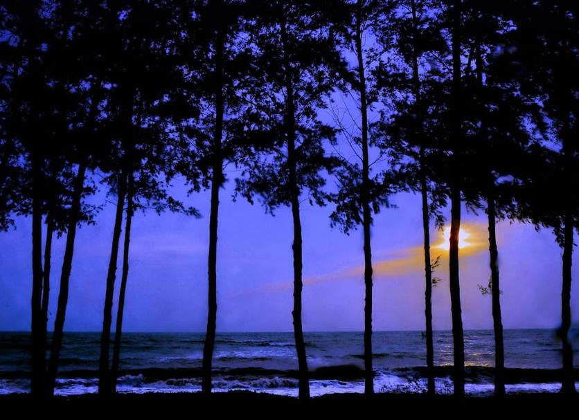 Outdoors view Photo