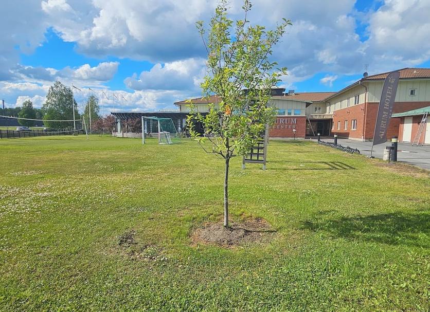 Outdoors view Photo