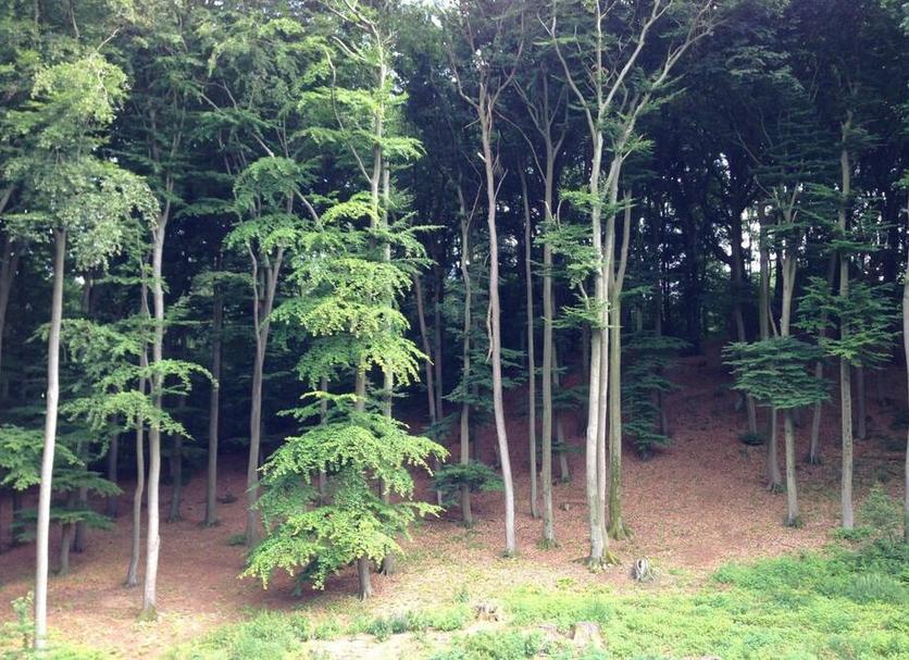 Outdoors view Photo