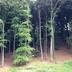 Outdoors view