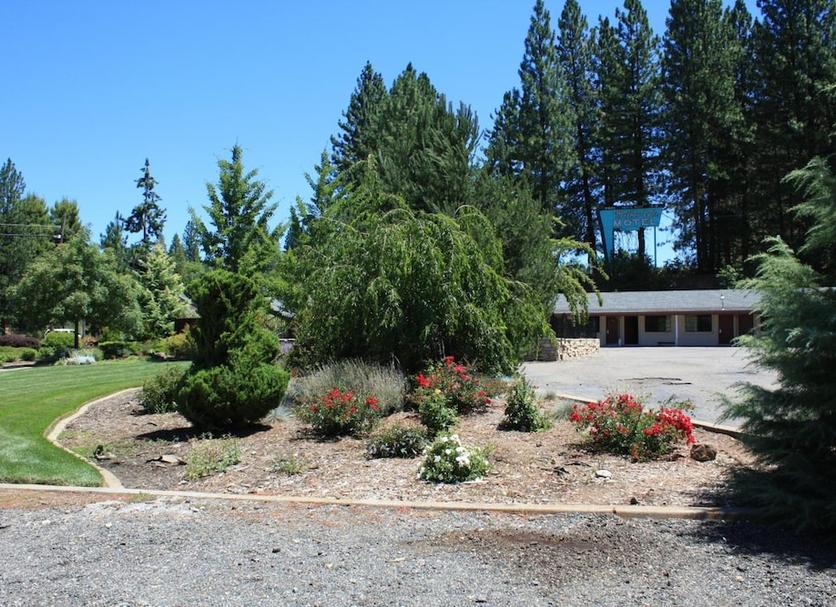 Outdoors view Photo