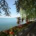 Outdoors view