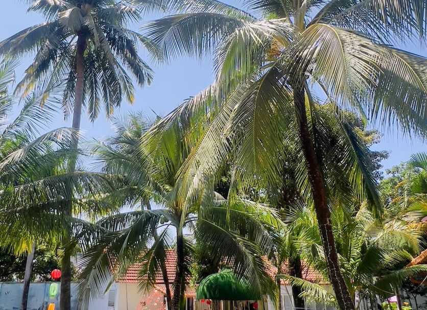 Outdoors view Photo
