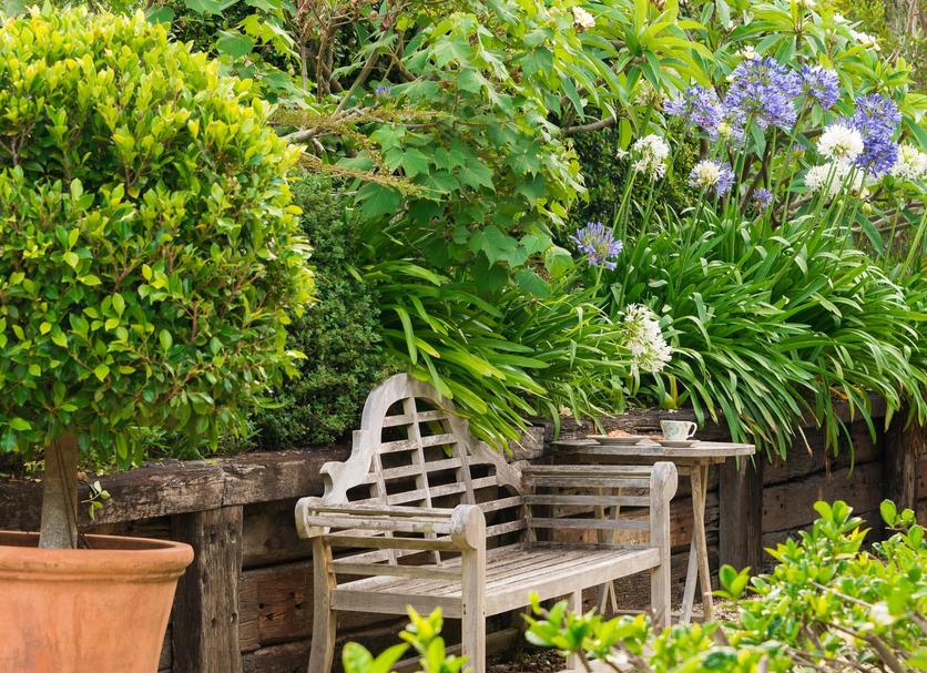 Patio Photo