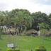 Outdoors view