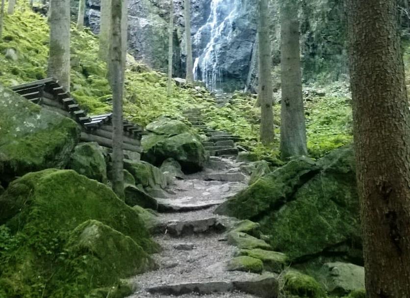 Other Photo