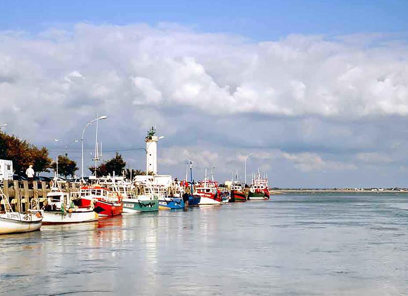 Other Photo