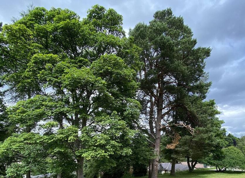 Outdoors view Photo