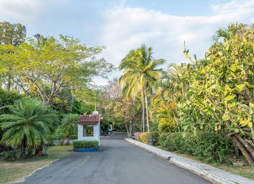 Outdoors view Photo