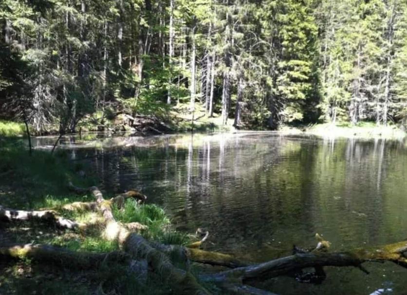 Other Photo