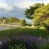 Outdoors view
