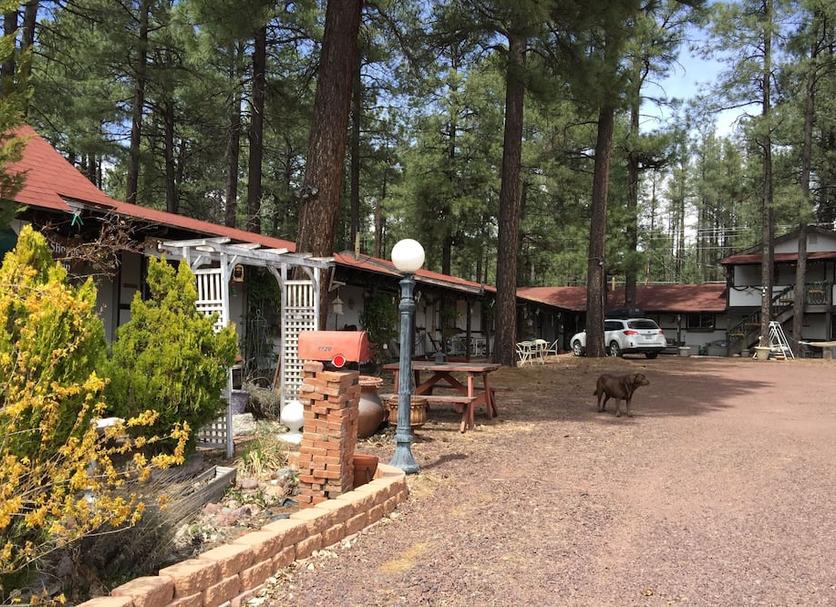 Outdoors view Photo