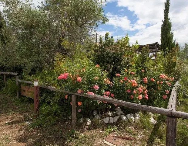 Outdoors view