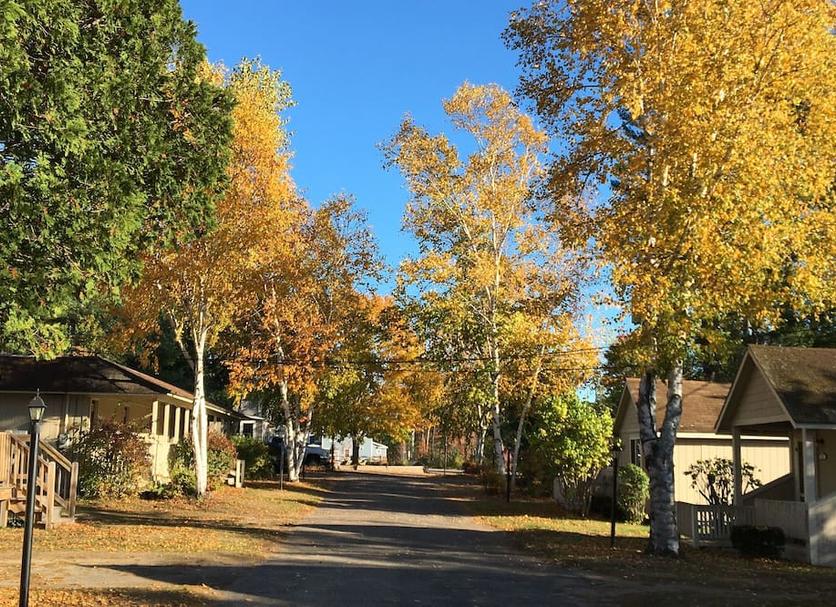 Outdoors view Photo