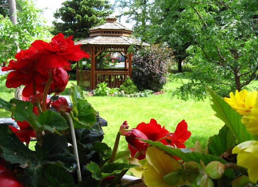 Outdoors view Photo