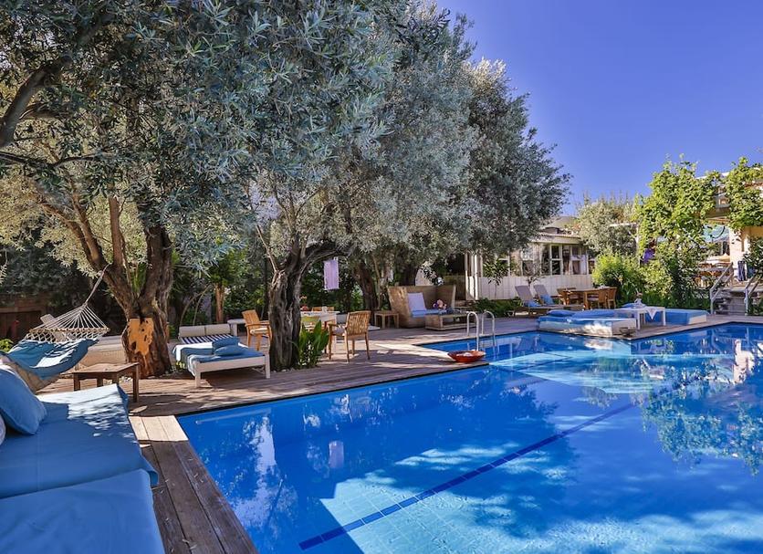 Pool Photo