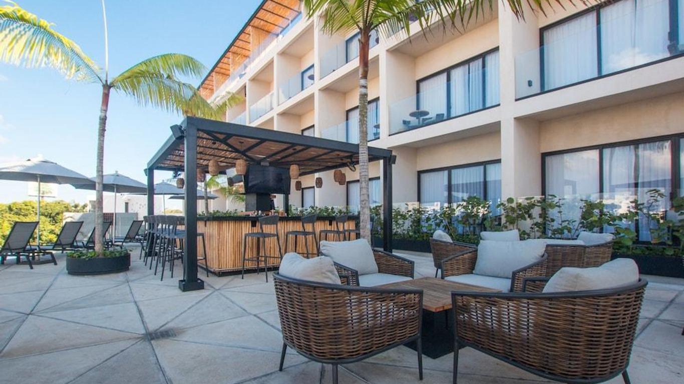 Hive Cancun