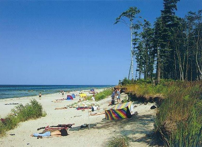 Beach Photo