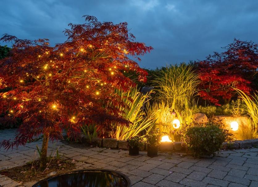 Outdoors view Photo