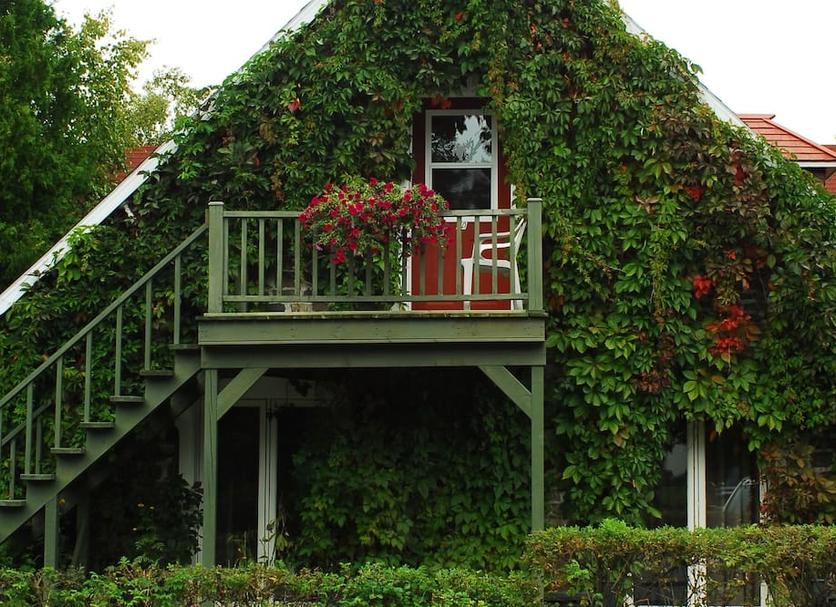 Outdoors view Photo