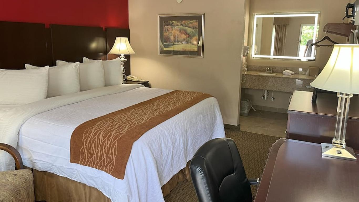 Pinetree Inn