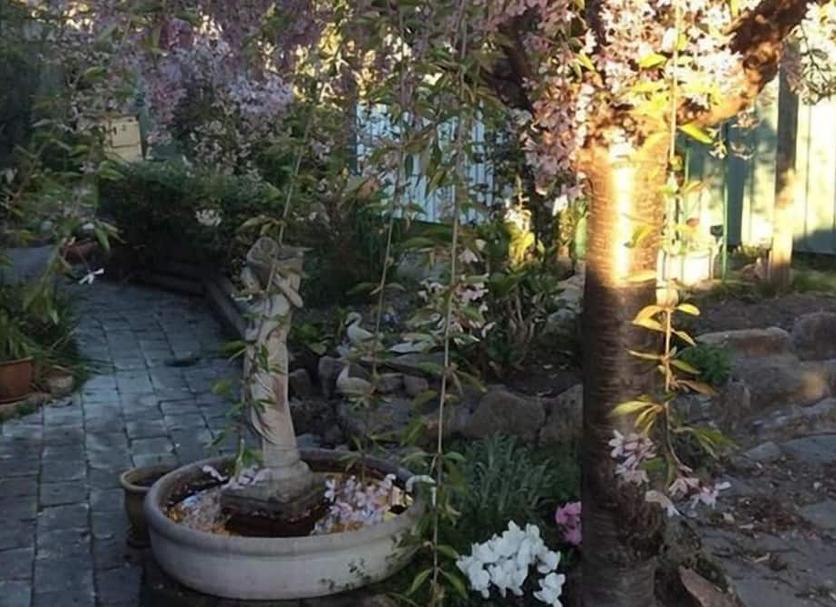 Outdoors view Photo