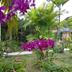 Outdoors view