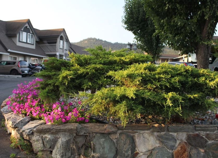 Outdoors view Photo
