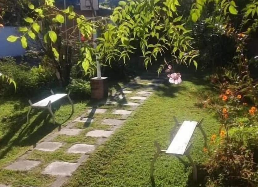 Outdoors view Photo