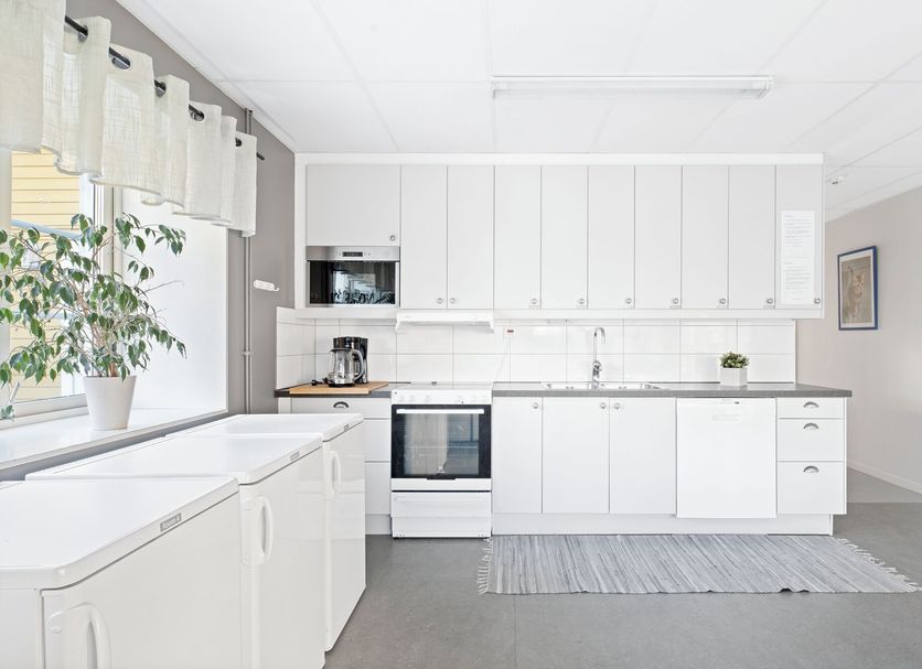 Kitchen Photo