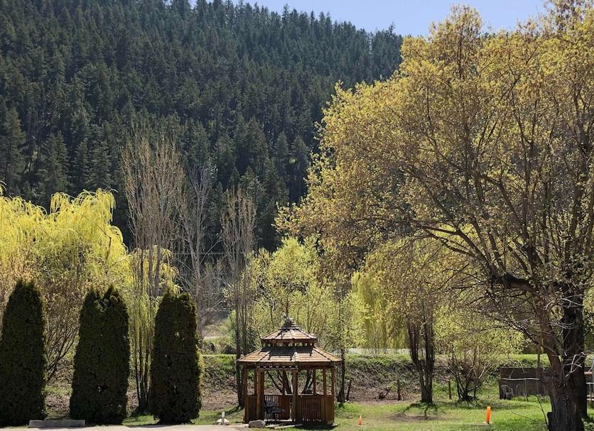 Outdoors view Photo