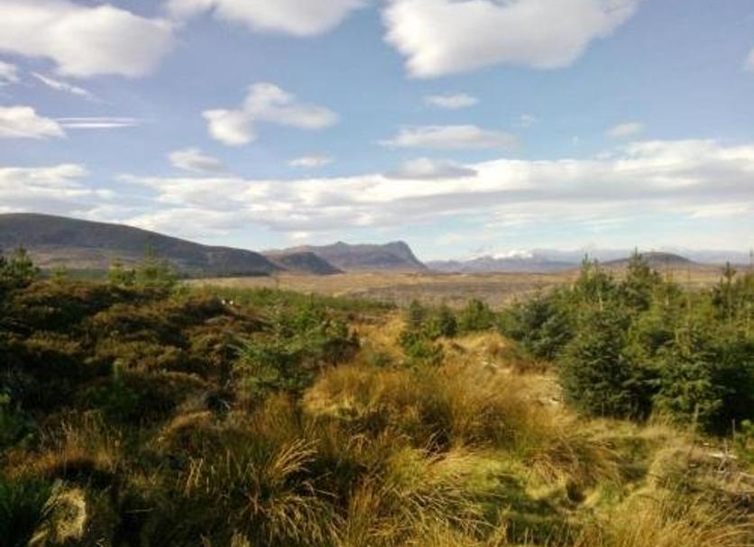 Outdoors view Photo