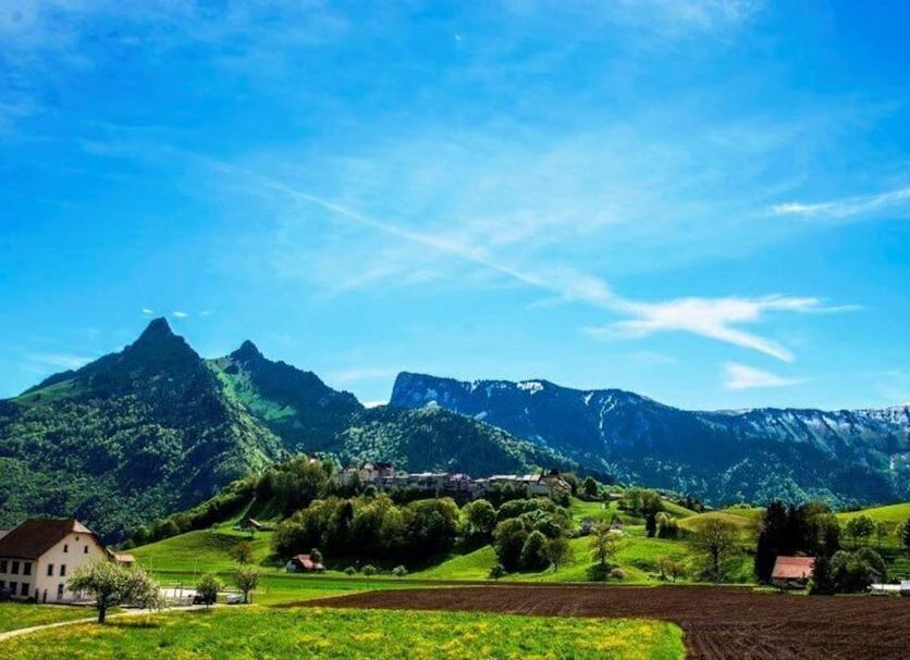 Outdoors view Photo